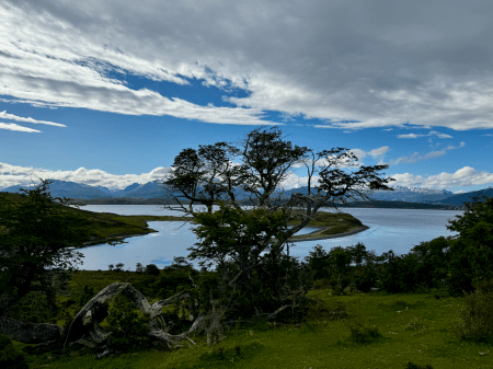 ‎⁨Isla Navarino⁩, ⁨Cabo de Hornos⁩, ⁨Magallanes and Antartica Chilena Region⁩, ⁨Chile⁩